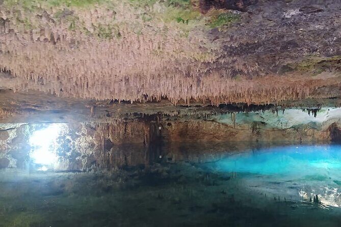Extreme Adventure Eco Park ATV, Zipline and Cenote Experience - Who Will Love This Tour?