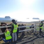 Eyjascooter volcano tour in Westman Island - Final Thoughts: Is the Eyjascooter Volcano Tour for You?