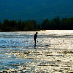 Færvik: Raet National Park SUP (Stand up Paddleboard) Tour - The Sum Up