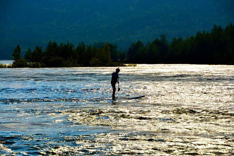 Færvik: Raet National Park SUP (Stand up Paddleboard) Tour - The Sum Up