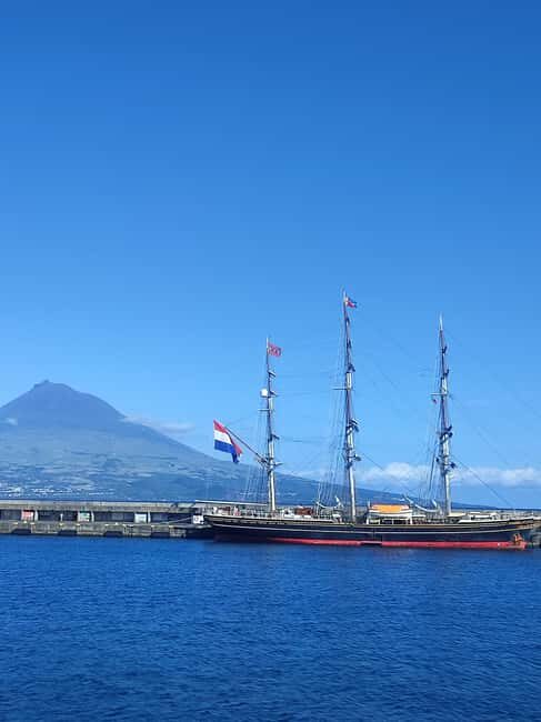 Faial Island: Full Day Tour - Nature & Culture - Who Is This Tour Best Suited For?
