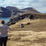 Faial Island: Half-Day Tour  Nature Highlights - Why This Tour Offers Great Value