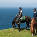 Faial Island: Horseback Riding (3 hrs - Experienced Riders) - Practical Details and What’s Included