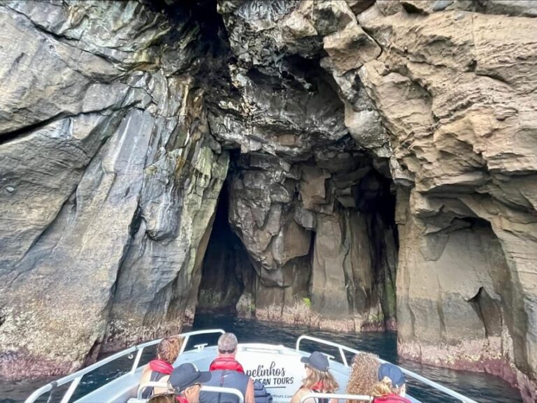 Faial Island: Unique boat tour to the Capelinhos volcano - Who Should Consider This Tour