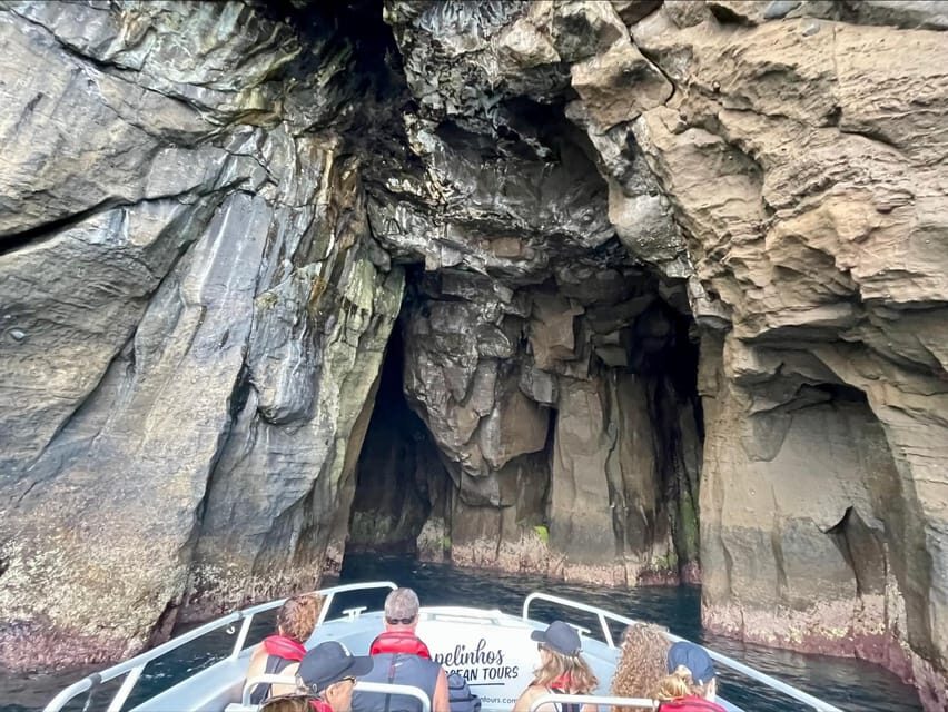 Faial Island: Unique boat tour to the Capelinhos volcano - Who Should Consider This Tour