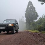 Faial: Private 4WD Half Day Island Tour with Local Guide - Who Would Benefit Most from This Tour?