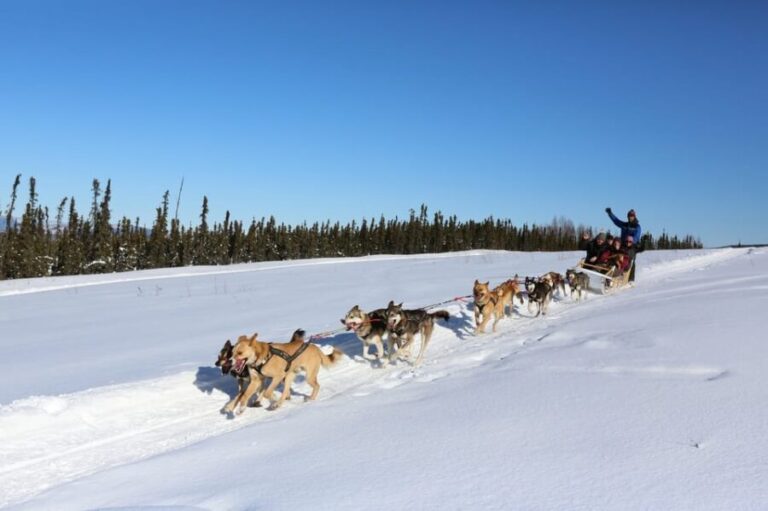 Fairbanks: 1-Hour Alaskan Winter Dog Sledding Adventure - Practical Considerations: What You Need to Know