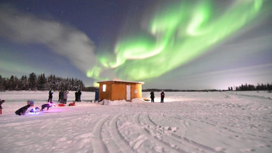 Fairbanks: Dog Sledding and Mushing Experience - What to Expect from the Dog Sledding Tour