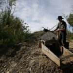 Fairbanks: Gold Dredge 8 Historic Train Tour - Who Will Love This Tour?
