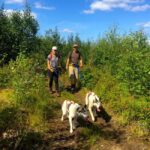 Fairbanks: Husky Hiking Tour - Who Will Love This Tour?