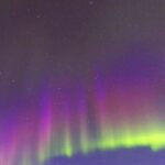 Fairbanks: Moonlight Dog Sled, Dinner & Northern Lights - The Dog Sled Ride: A Classic Alaska Moment