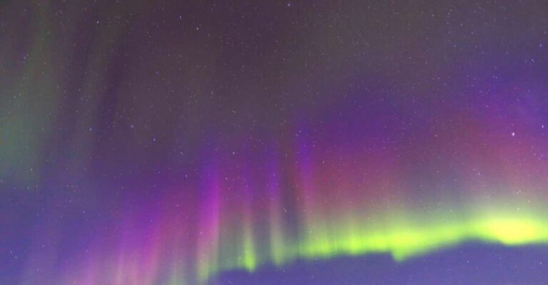 Fairbanks: Moonlight Dog Sled, Dinner & Northern Lights - The Dog Sled Ride: A Classic Alaska Moment