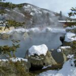 Fairbanks: Northern Lights and Chena Hot Springs Tour - What Travelers Say: Authentic Voices