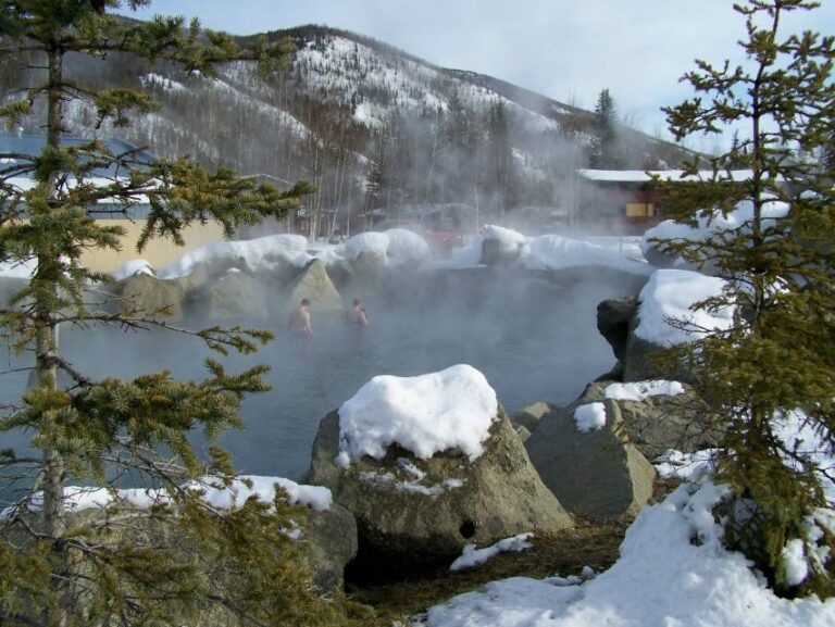 Fairbanks: Northern Lights and Chena Hot Springs Tour - What Travelers Say: Authentic Voices