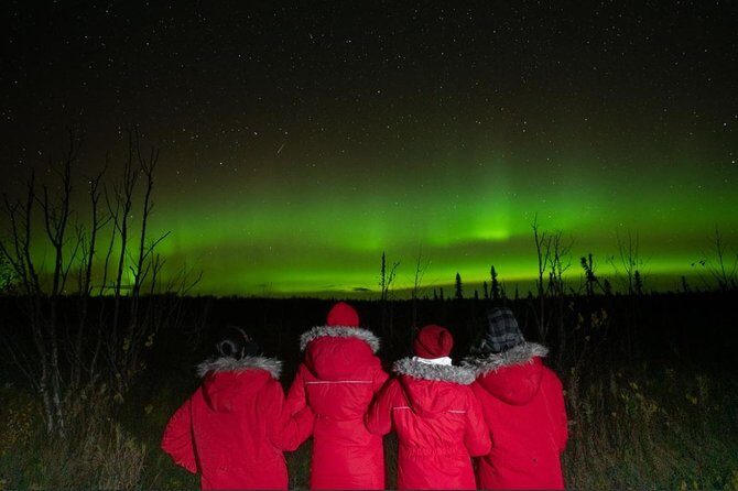Fairbanks Northern Lights Tour - Who Will Love This Tour?