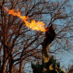 Fairy Tales and Legends of Krakow Guided Tour - Practical Aspects and Value