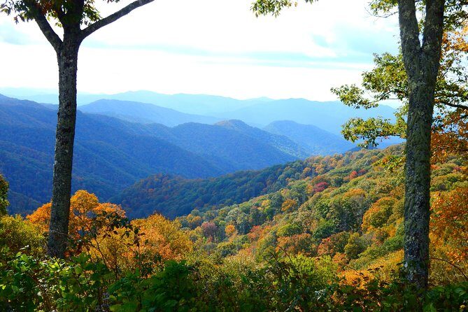 Fall Color Tour in the Smoky Mountains - Final Thoughts: Is This Tour Right for You?
