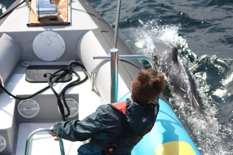 Falmouth: 2 Hour Wildlife Watching RIB Tour - Who Will Love This Tour?