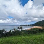 Famed North Shore Tour - Who Should Consider This Tour?