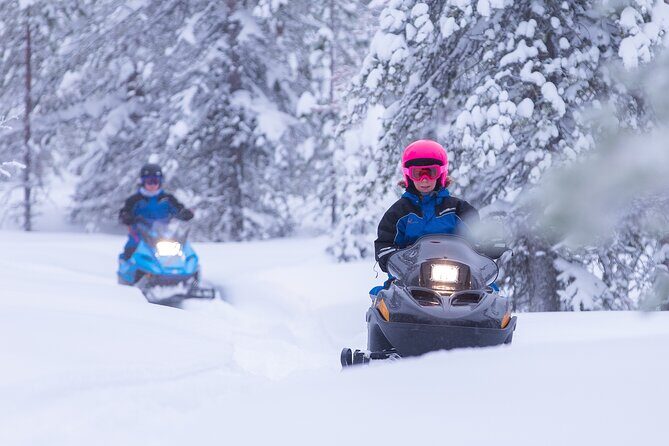 Family day: Reindeer, Husky and Snowmobiling in Levi - Who Is This Tour Best For?