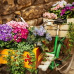 Family Friendly Florence Private City Tour - Who Will Love This Tour?