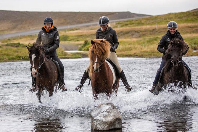 Family Friendly Horse Riding Tour in Skagafjörður - An In-Depth Look at the Horse Riding Experience in Skagafjörður