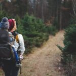 Family-Friendly Nature Hike around the Big Bear Valley - The Sum Up