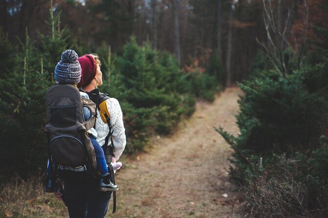 Family-Friendly Nature Hike around the Big Bear Valley - The Sum Up