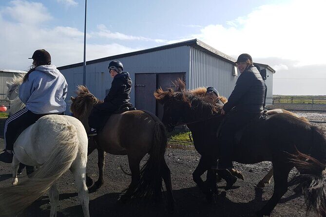 Family Horse Riding Tour in Thorlakshofn - Who Should Consider This Tour?