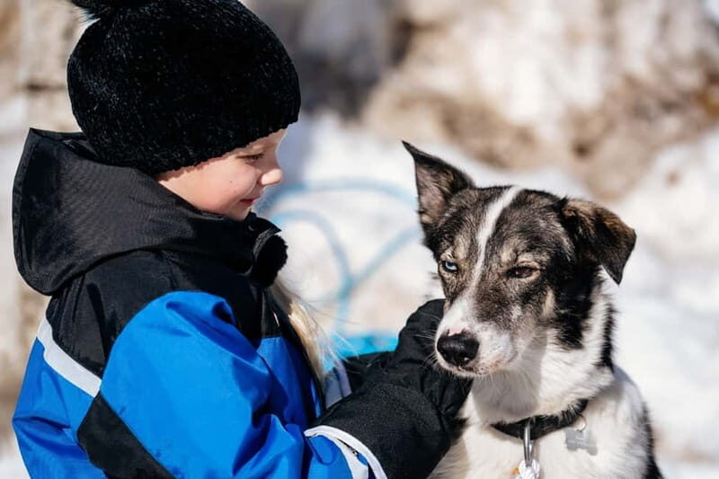 Family Snow Fun with Huskies, Reindeer, Mini Scooters, Lunch - Authenticity and Authentic Experiences