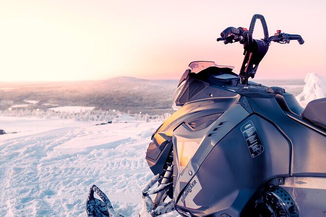 Family Snowmobile Safari in Rovaniemi - Who Will Love This Tour?