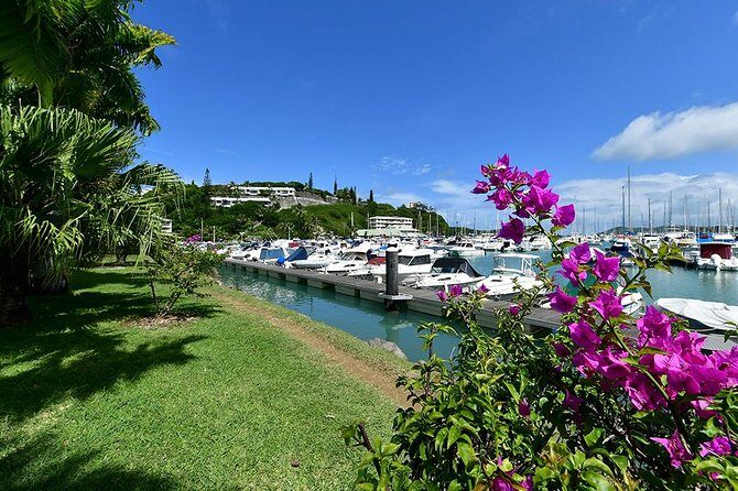FAMOUS Local Green Train Noumea (01h30) - Who Should Consider This Tour?