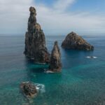 Fanal & Porto Moniz - West Madeira Tour - What Travelers Say