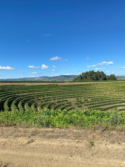 Fancy Douro from Porto - private walk + lunch + wines - An Authentic Journey into Douro’s Heart