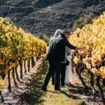 Farm and Wine Experience Half Day in Queenstown, Central Otago. - Who Should Consider This Tour?