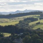 Farm Attraction - Highland Cows, Animal Feeding, Wholesome fun! - Exploring the Farm Experience in Jedburgh