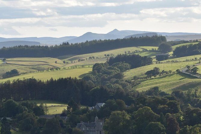 Farm Attraction - Highland Cows, Animal Feeding, Wholesome fun! - Exploring the Farm Experience in Jedburgh
