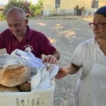 FARM STAY EXPERIENCE & DOZZA - Private Day Tour From Bologna - Who Would Love This Tour?