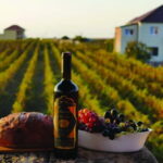 Farm-to-Table Escape: Discover Mrizi i Zanave - An In-Depth Look at the Farm-to-Table Experience