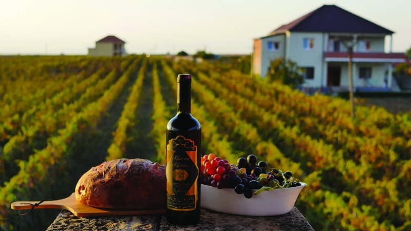 Farm-to-Table Escape: Discover Mrizi i Zanave - An In-Depth Look at the Farm-to-Table Experience