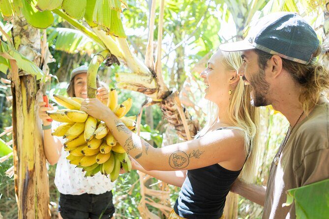 Farm to Taco: A Farm to Table Cooking Class - A Closer Look at the Farm to Taco Experience