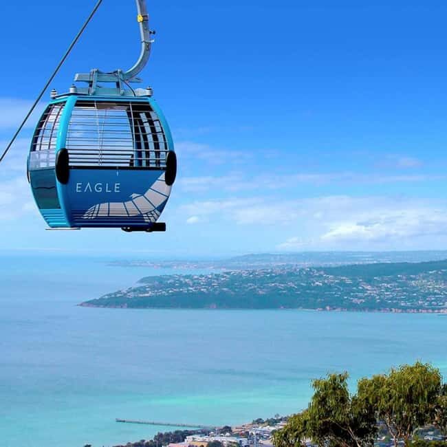 Farmer's Lunch and Arthurs Seat Eagle Cable Car Ride - For 2 - Who Is This Tour Best For?