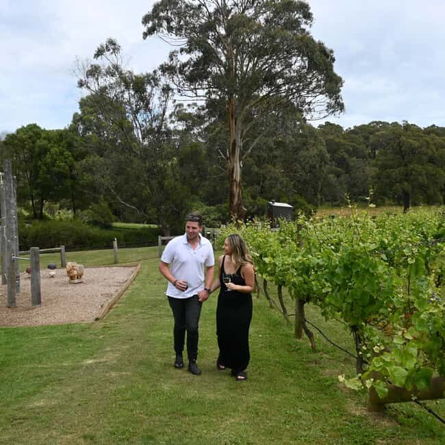 Farmers Lunch - Food and Wine for 2 - Who Will Love This Experience?