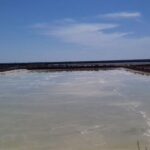 Faro Bike Tour through the Beautiful Ria Formosa - In-Depth Review of the Faro Bike Tour