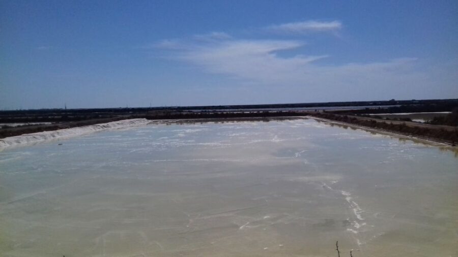 Faro Bike Tour through the Beautiful Ria Formosa - In-Depth Review of the Faro Bike Tour