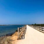 Faro City & Ria Formosa E-Bike Tour - Why This Tour Offers Good Value