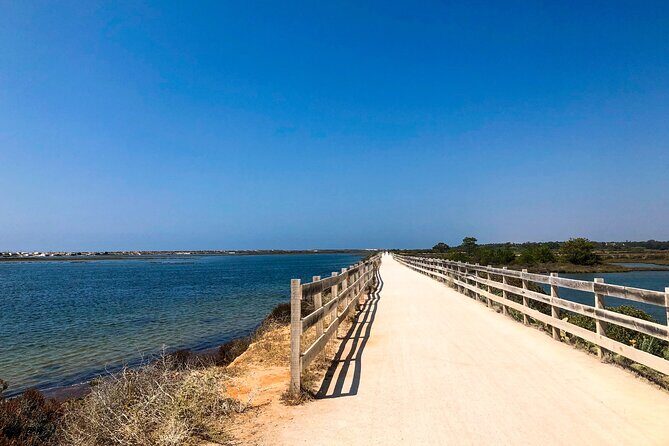 Faro City & Ria Formosa E-Bike Tour - Why This Tour Offers Good Value