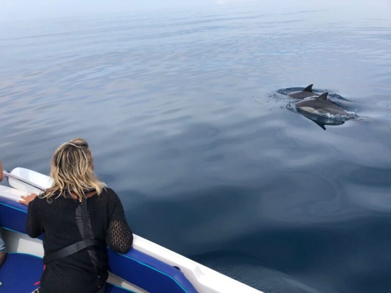 Faro: Dolphin and Wildlife Watching in the Atlantic Ocean - Why This Tour Offers Real Value