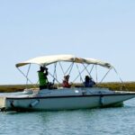Faro: Ria Formosa Boat Tour by Eco-Friendly Solar Boat - An in-depth look at the Ria Formosa eco boat tour