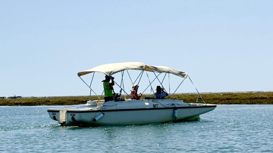 Faro: Ria Formosa Boat Tour by Eco-Friendly Solar Boat - An in-depth look at the Ria Formosa eco boat tour